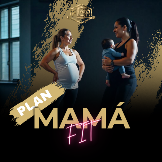 Premium Training Plan 3.3.3