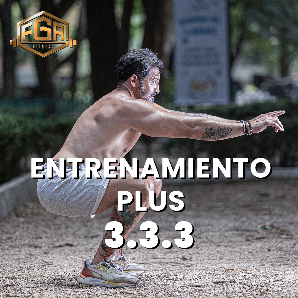 Plan de Entrenamiento Plus 3.3.3